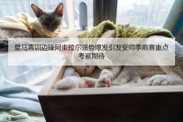 皇马青训边锋阿圭拉尔强势爆发引发安帅季前赛重点考察期待